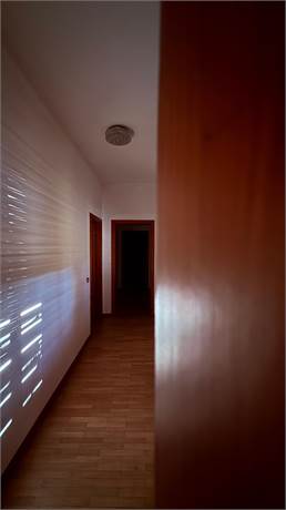 Photo 52