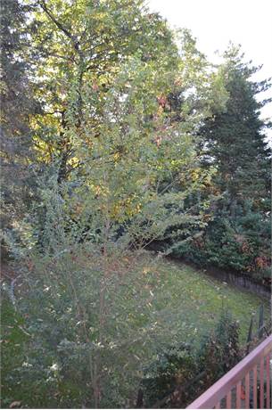 Photo 33