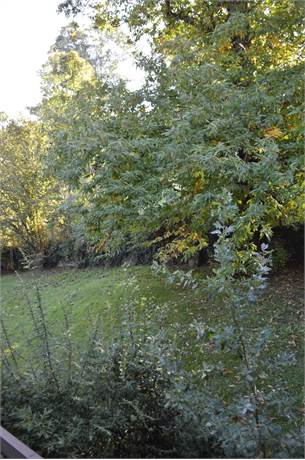Photo 34