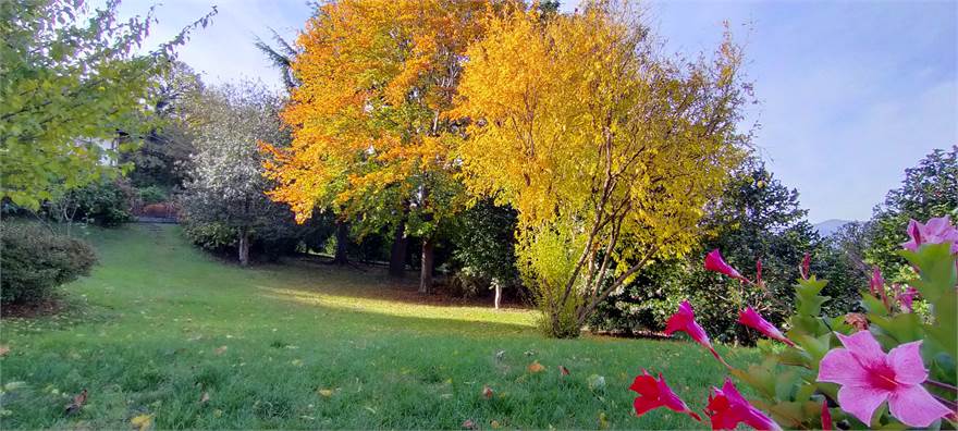 Photo 38